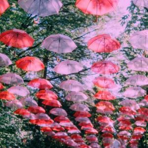 دانلود آهنگ افغانی سرزمین من از داوود سرخوش